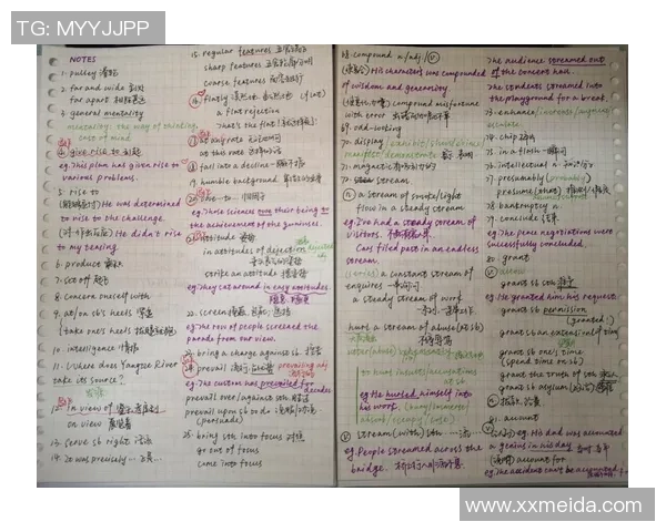 中国队与英国队八球对决杨帆迎战菠茨精彩赛事回顾与分析